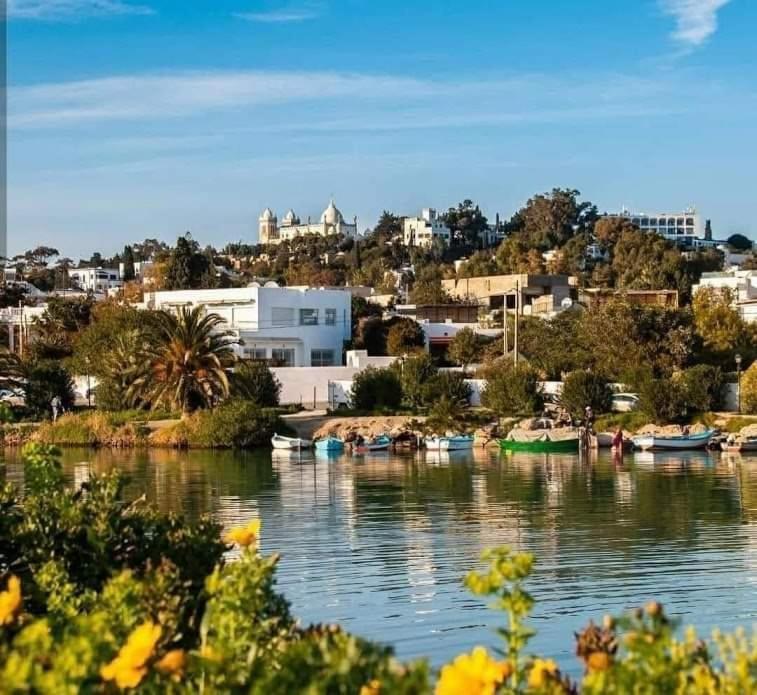 Appartement Num3 Carthage Byrsa Douar ech Chott 외부 사진