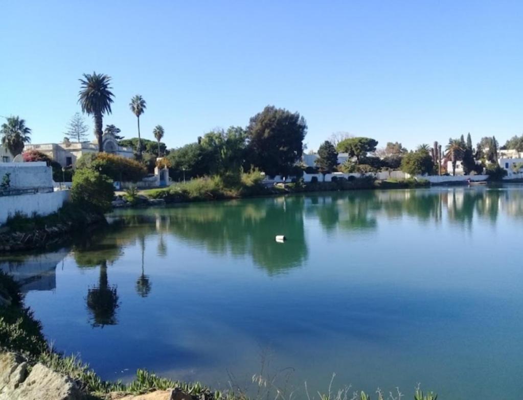 Appartement Num3 Carthage Byrsa Douar ech Chott 외부 사진